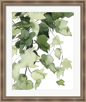 Framed Emerald Vines I Print