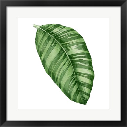 Framed Rainforest Jewel I Print