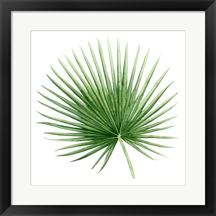 Framed Rainforest Jewel II Print