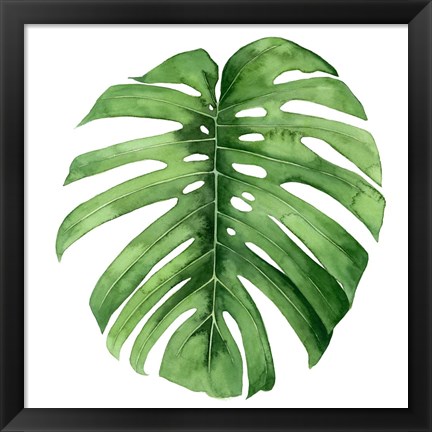 Framed Rainforest Jewel IV Print