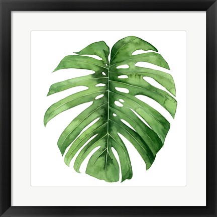 Framed Rainforest Jewel IV Print