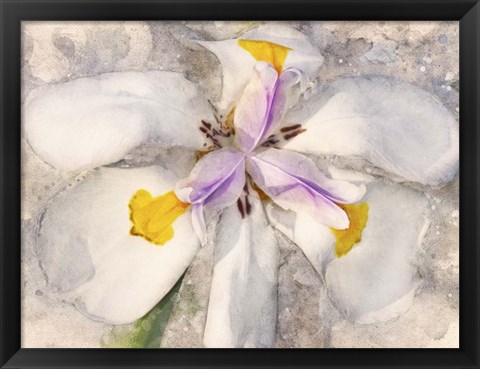 Framed Playful Petals II Print