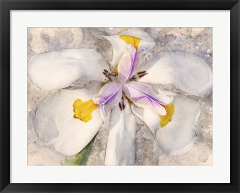 Framed Playful Petals II Print