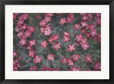 Framed Nature&#39;s Textures I Print