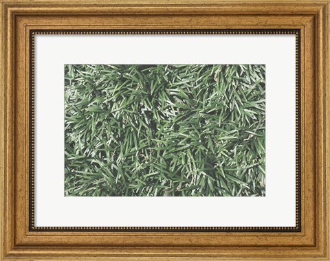 Framed Nature&#39;s Textures II Print