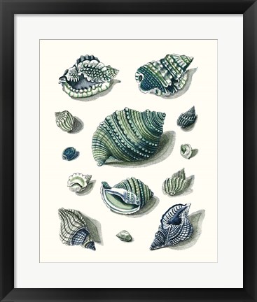 Framed Celadon Shells II Print