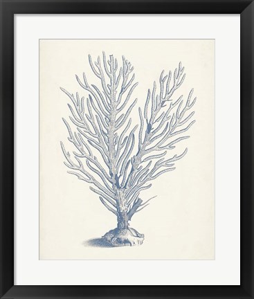 Framed Antique Coral Collection II Print