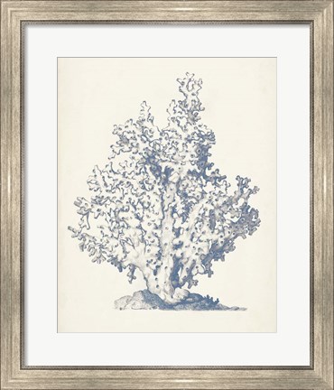 Framed Antique Coral Collection IV Print