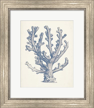 Framed Antique Coral Collection VI Print