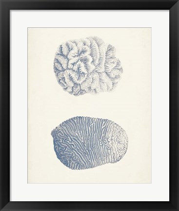 Framed Antique Coral Collection VII Print