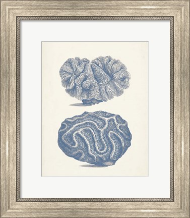 Framed Antique Coral Collection IX Print