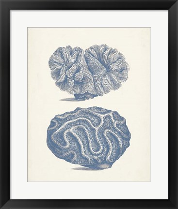 Framed Antique Coral Collection IX Print