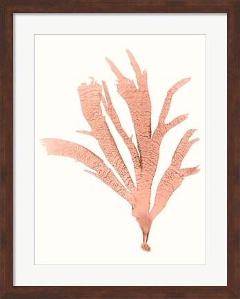 Framed Vivid Coral Seaweed IV Print