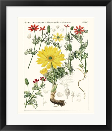 Framed Bright Botanicals IV Print