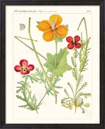 Framed Bright Botanicals V Print