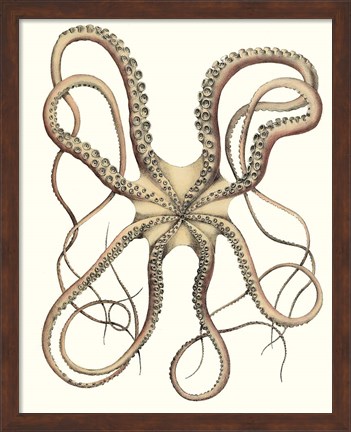 Framed Antique Octopus Collection IV Print