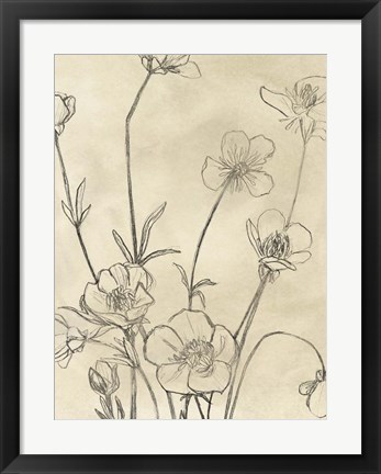 Framed Vintage Wildflowers I Print