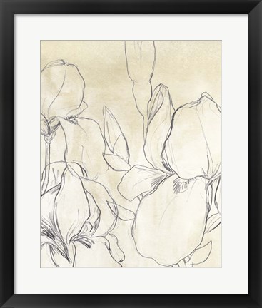 Framed Iris Garden Sketch I Print