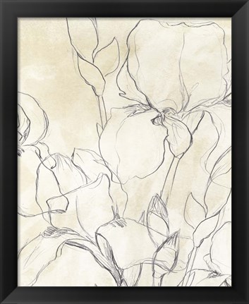 Framed Iris Garden Sketch II Print