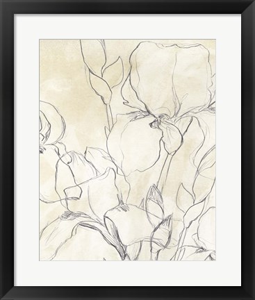 Framed Iris Garden Sketch II Print