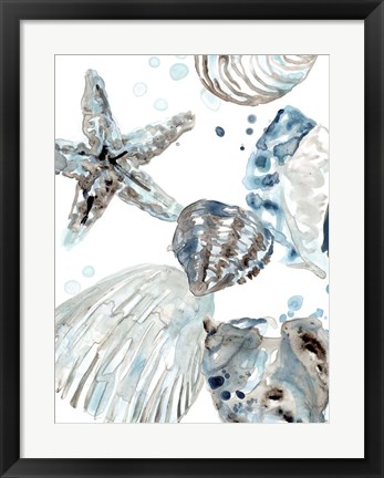 Framed Cerulean Seashells II Print