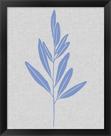 Framed Blue Stem III Print