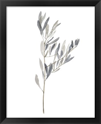 Framed Gentle Breeze II Print