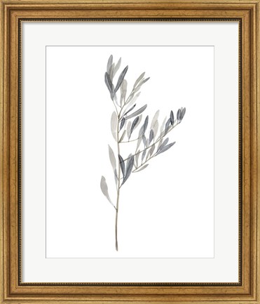 Framed Gentle Breeze II Print