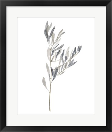 Framed Gentle Breeze II Print