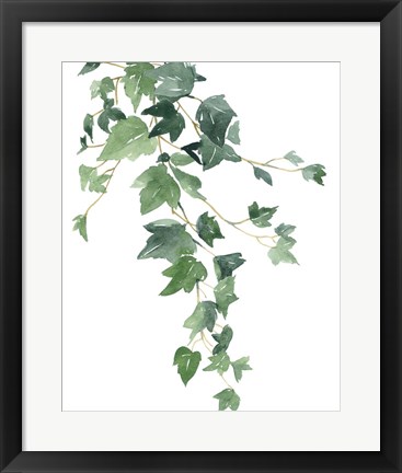 Framed Branch Study I Print