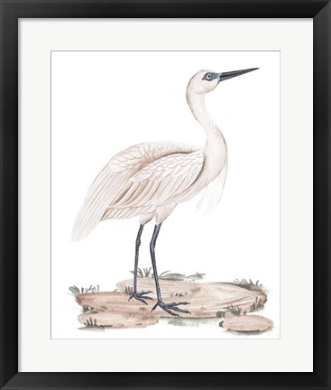 Framed White Heron II Print