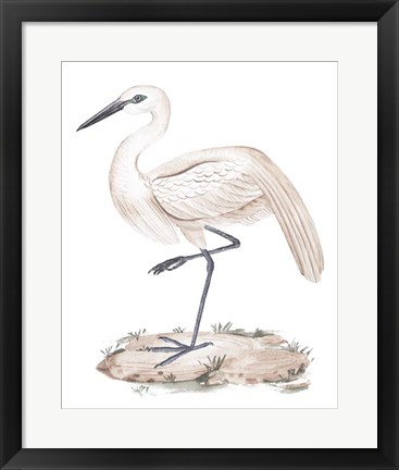 Framed White Heron III Print