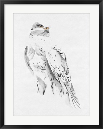 Framed Gyrfalcon II Print