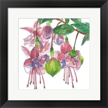 Framed Fuchsias I Print