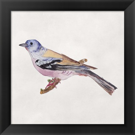 Framed Bird Sketch II Print