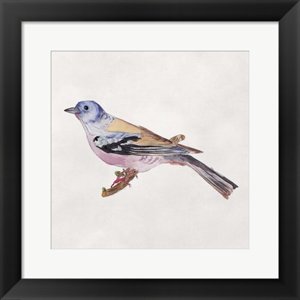 Framed Bird Sketch II Print