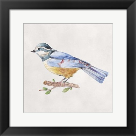 Framed Bird Sketch V Print