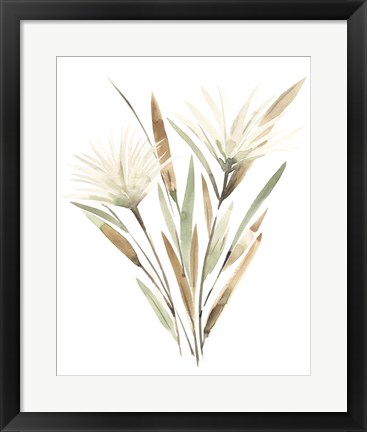 Framed Modest Pedicle II Print