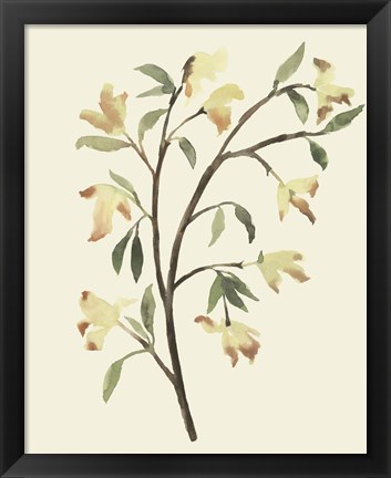 Framed Blest Branch II Print