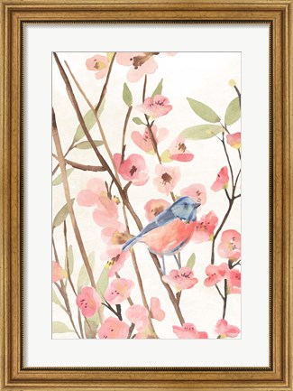 Framed Cherry Blossom Perch I Print