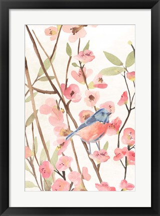 Framed Cherry Blossom Perch I Print