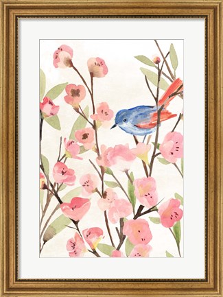 Framed Cherry Blossom Perch II Print