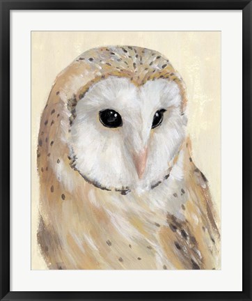 Framed Common Barn Owl II Print