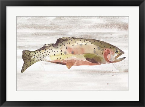 Framed Spotted Trout II Print