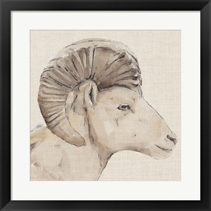 Framed Bighorn Profile II Print