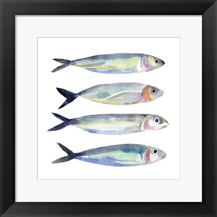 Framed Sardine Team I Print