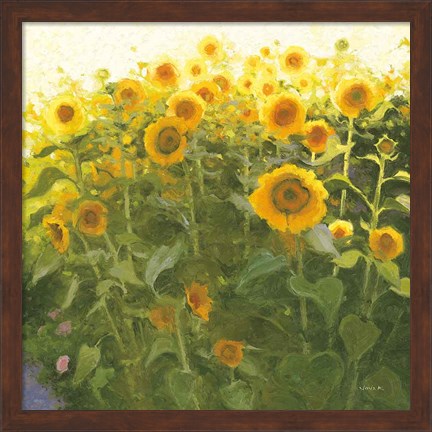 Framed Sunflower Field Print