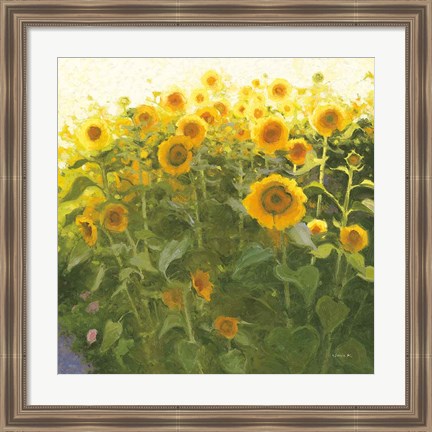 Framed Sunflower Field Print
