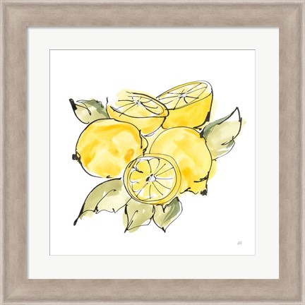 Framed Lemon Still Life IV Print