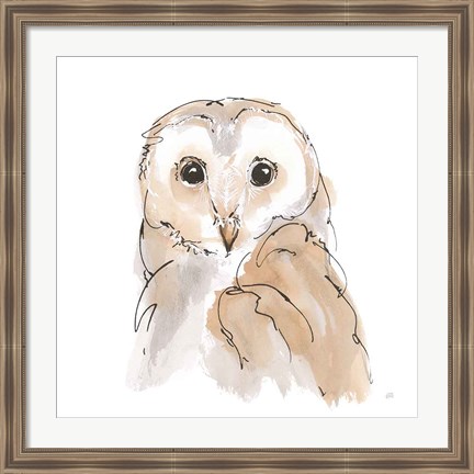 Framed Barn Owl II Print
